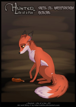 Hunted Life of a Fox