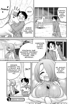 Kemokko Zoo №3 - Зоопарк Кемокко. Лошадь Кэррот Автор: Mepuchin