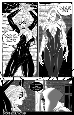 Кошачьи проблемы