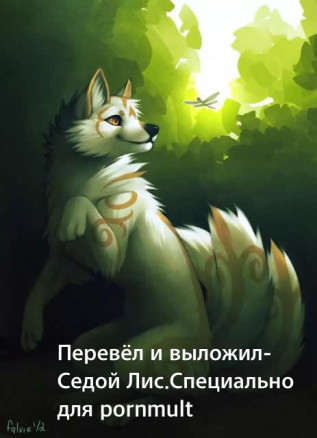 Бомба Бомбардировщик