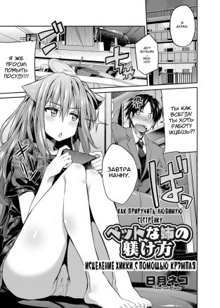 Pet na Ane no Shitsukekata  Как приручить любимую сестрёнку