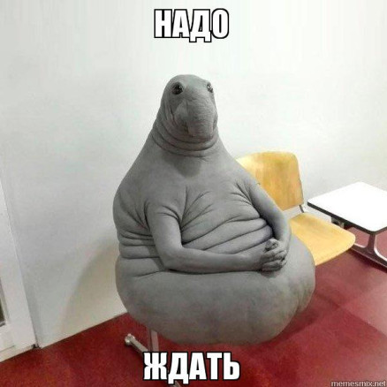 Игривый Котёнок