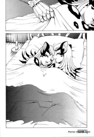 Время кошек