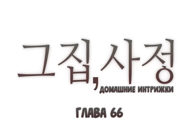 Домашние интрижки 66