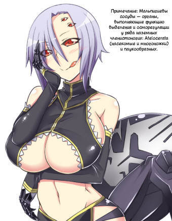 Не совсем повседневная жизнь с девушками-монстрами