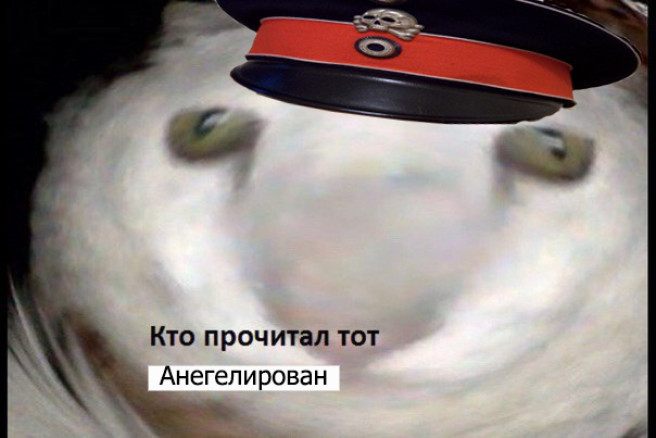 Чат с Уинстоном