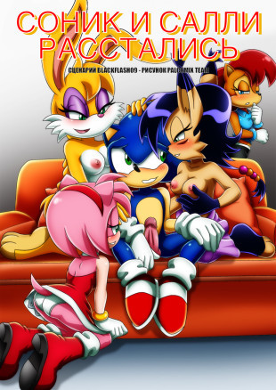 Соник и Салли расстались
