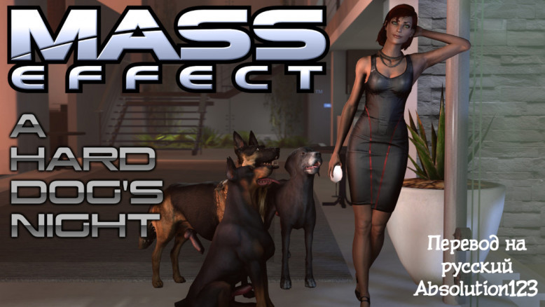 Трудная ночь с собаками