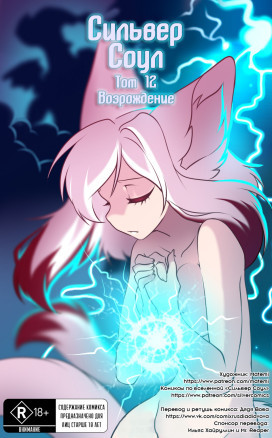 Сильвер Соул 12