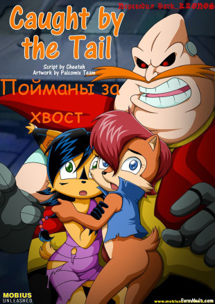 Пойманы за хвост
