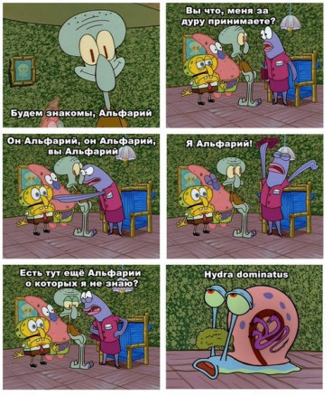 Мама тебя научит