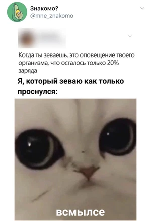Сегодня без дрочки